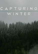 Watch Capturing Winter 123movieshub