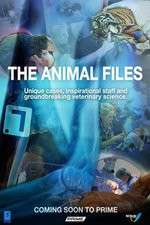 Watch The Animal Files 123movieshub