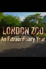 Watch London Zoo: An Extraordinary Year 123movieshub