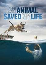 Watch An Animal Saved My Life 123movieshub