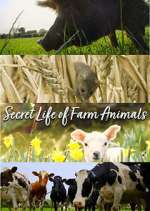 Watch Secret Life of Farm Animals 123movieshub