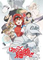 Watch Cells at Work! 123movieshub