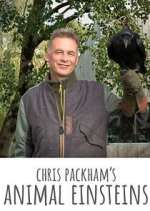 Watch Chris Packham's Animal Einsteins 123movieshub
