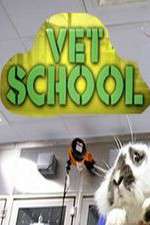 Watch Vet School 123movieshub