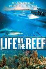 Watch Life on the Reef 123movieshub