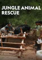 Watch Jungle Animal Rescue 123movieshub