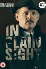 Watch In Plain Sight 123movieshub