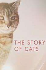 Watch The Story of Cats 123movieshub