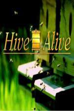 Watch Hive Alive 123movieshub