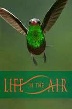 Watch Life in the Air 123movieshub