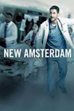 Watch New Amsterdam 123movieshub
