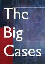 Watch The Big Cases 123movieshub