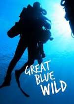 Watch Great Blue Wild 123movieshub