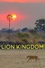 Watch Lion Kingdom 123movieshub