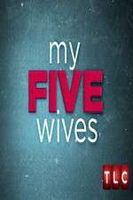 Watch My Five Wives 123movieshub