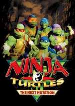 Watch Ninja Turtles: The Next Mutation 123movieshub