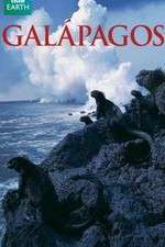 Watch Galapagos 123movieshub