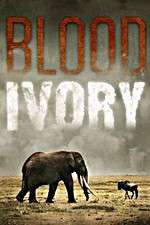 Watch Blood Ivory 123movieshub