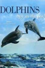 Watch Dolphins: Spy in the Pod 123movieshub