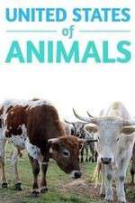 Watch United States of Animals 123movieshub