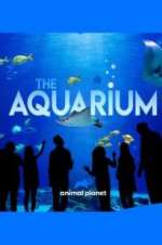 Watch The Aquarium 123movieshub
