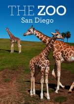 Watch The Zoo: San Diego 123movieshub