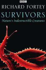 Watch Survivors: Nature's Indestructible Creatures 123movieshub