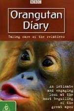 Watch Orangutan Diary 123movieshub