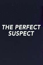 Watch The Perfect Suspect 123movieshub