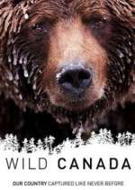 Watch Wild Canada 123movieshub