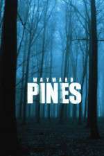 Watch Wayward Pines 123movieshub