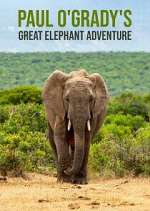 Watch Paul O'Grady's Great Elephant Adventure 123movieshub