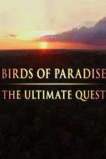 Watch Birds of Paradise: The Ultimate Quest 123movieshub