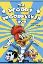 Watch The Woody Woodpecker Show 123movieshub