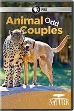 Watch Animal Odd Couples 123movieshub