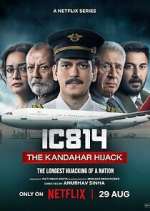 Watch IC 814: The Kandahar Hijack 123movieshub