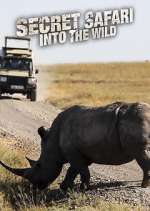 Watch Secret Safari: Into the Wild 123movieshub