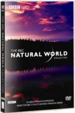 Watch The Natural World 123movieshub