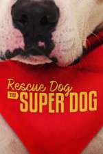 Watch Rescue Dog to Super Dog (US) 123movieshub