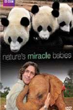 Watch Natures Miracle Babies 123movieshub