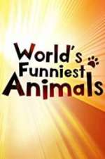 Watch The World\'s Funniest Animals 123movieshub