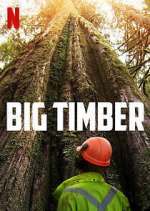 Watch Big Timber 123movieshub