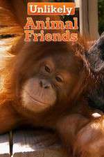 Watch Unlikely Animal Friends 123movieshub