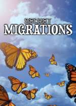 Watch Secret Migrations 123movieshub