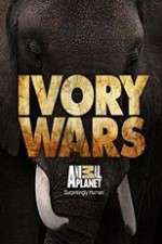 Watch Ivory Wars 123movieshub