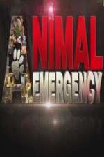 Watch Animal Emergency 123movieshub