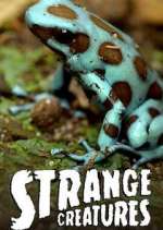 Watch Strange Creatures 123movieshub