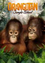 Watch Orangutan Jungle School 123movieshub