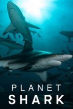 Watch Planet Shark 123movieshub