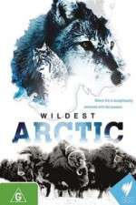 Watch Wildest Arctic 123movieshub